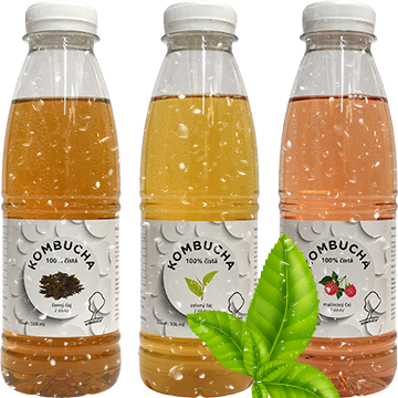 03-kombucha-zakladni-caj