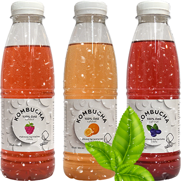 04-kombucha-malinovy-caj