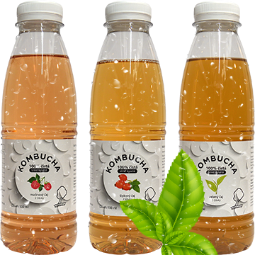 07-kombucha-silne-kysela